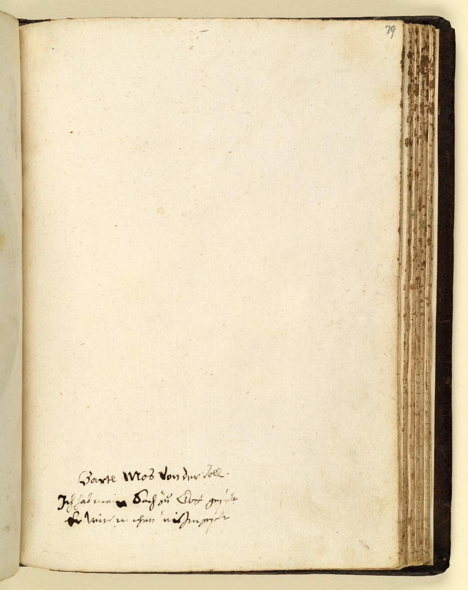 Stammbuch des Leonhard Hayder von Nürnberg, fol. 79r