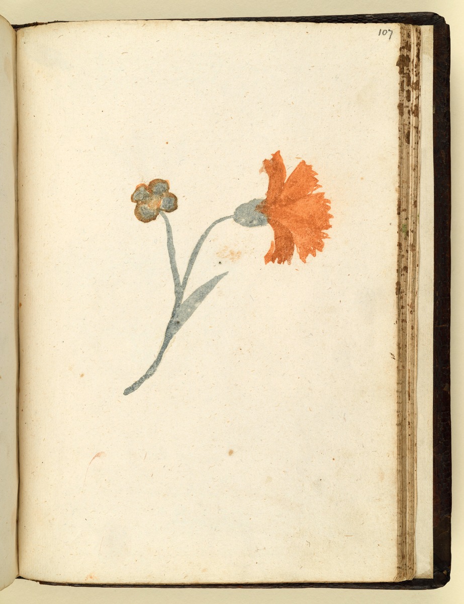 Stammbuch des Leonhard Hayder von Nürnberg, fol. 107r