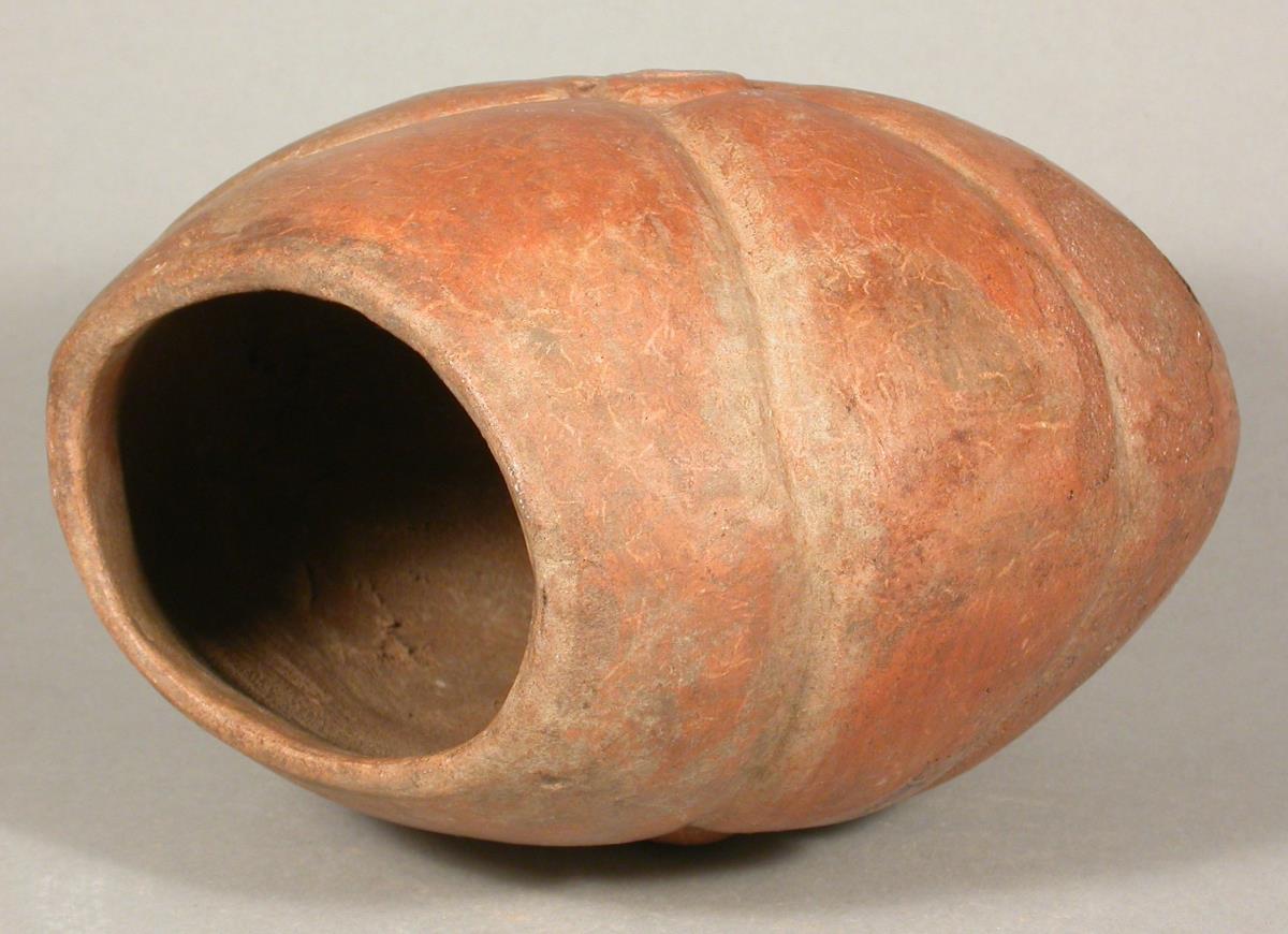 Kürbis
