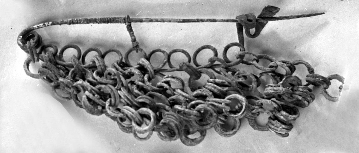 Fibel mit vielen Ringen, die ein Kettengehänge bilden