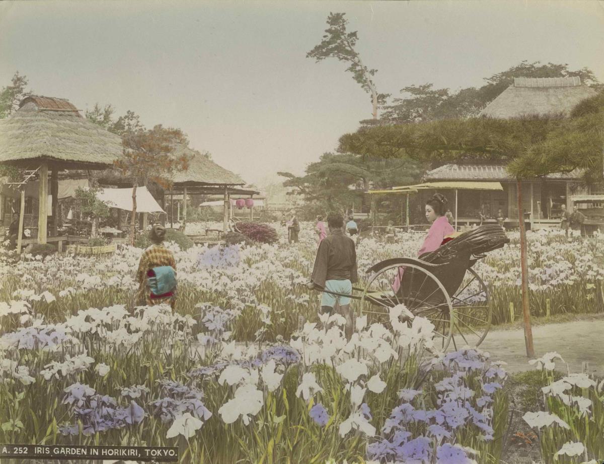 Ausflügler im Horikiri-Park Tôkyô