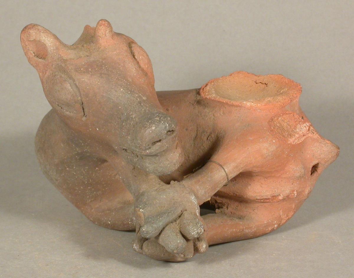 Gefesselter Hirsch