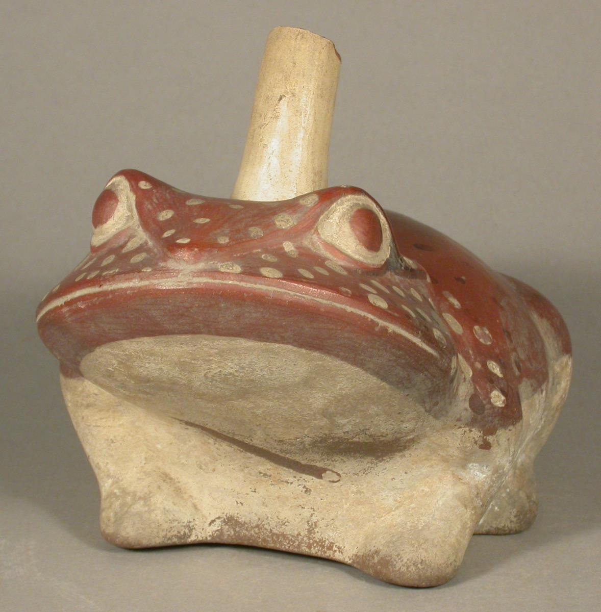 Kröte/Frosch