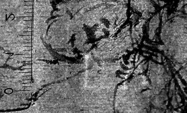 Die Auffindung von Abels Leichnam