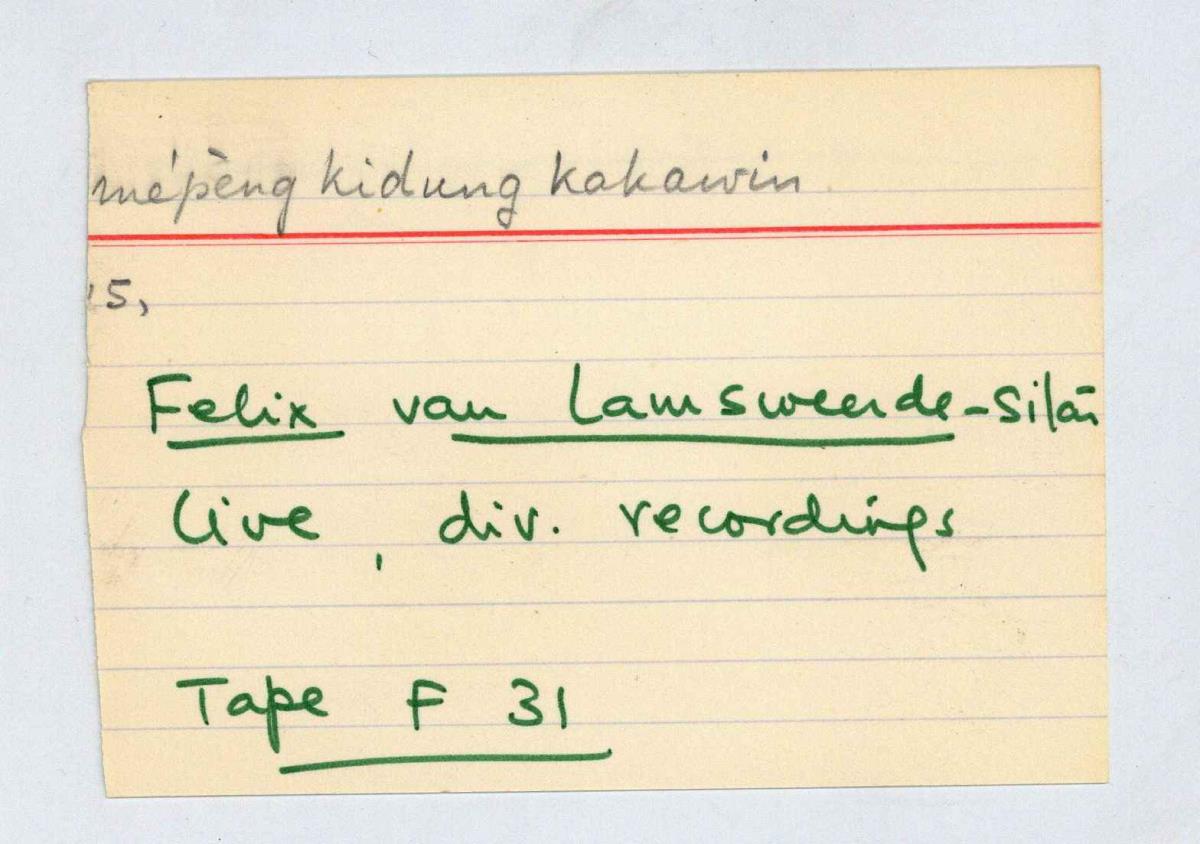 Felix van Lamsweerde (sitar)
