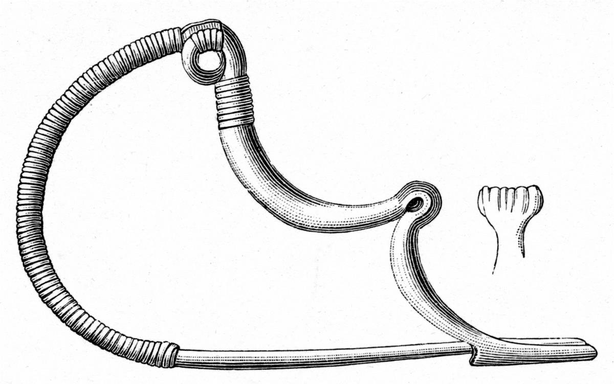 Schlangenfibel