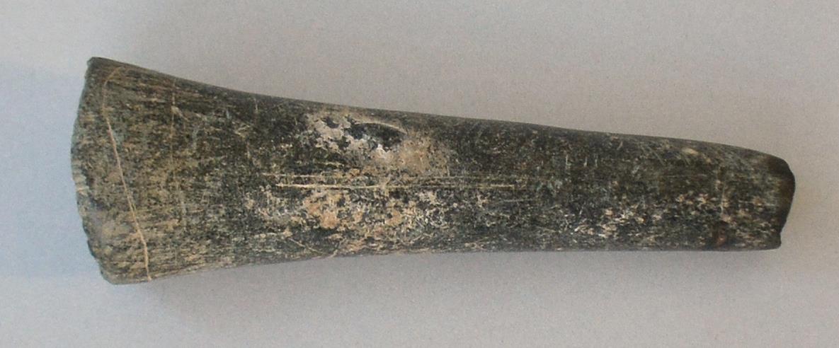 Vocina