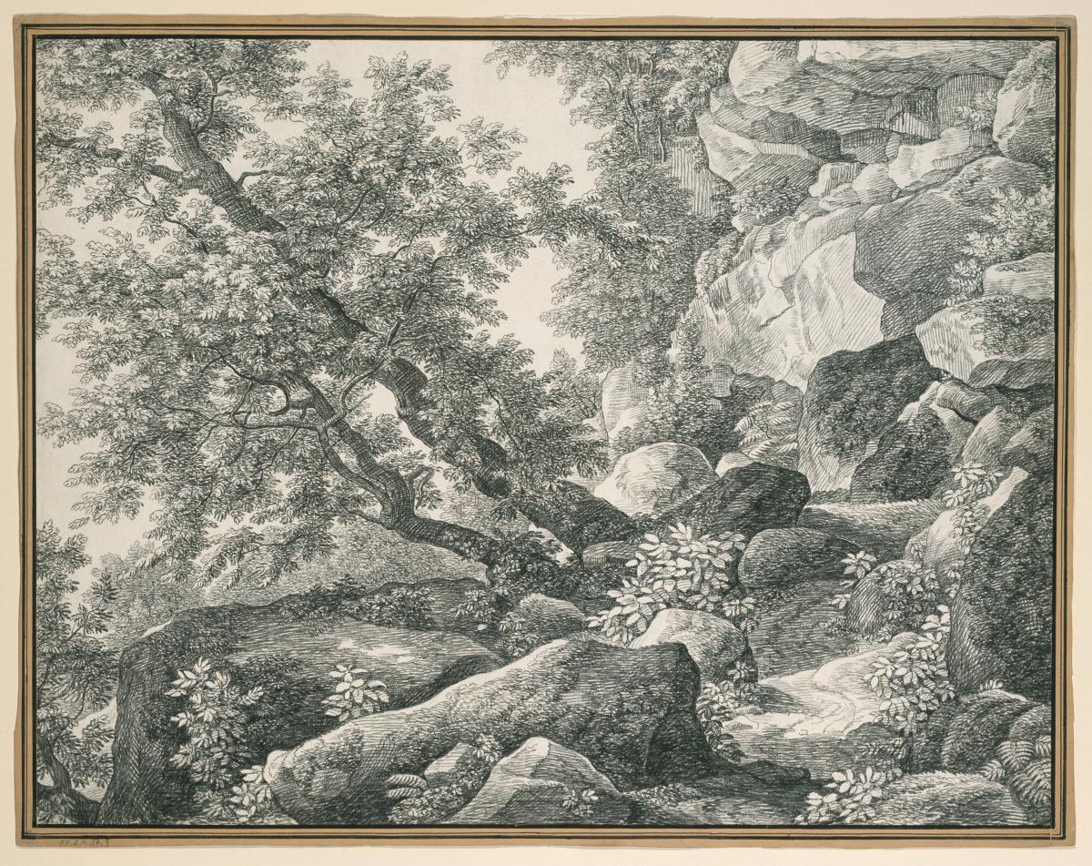 Felslandschaft mit Bäumen