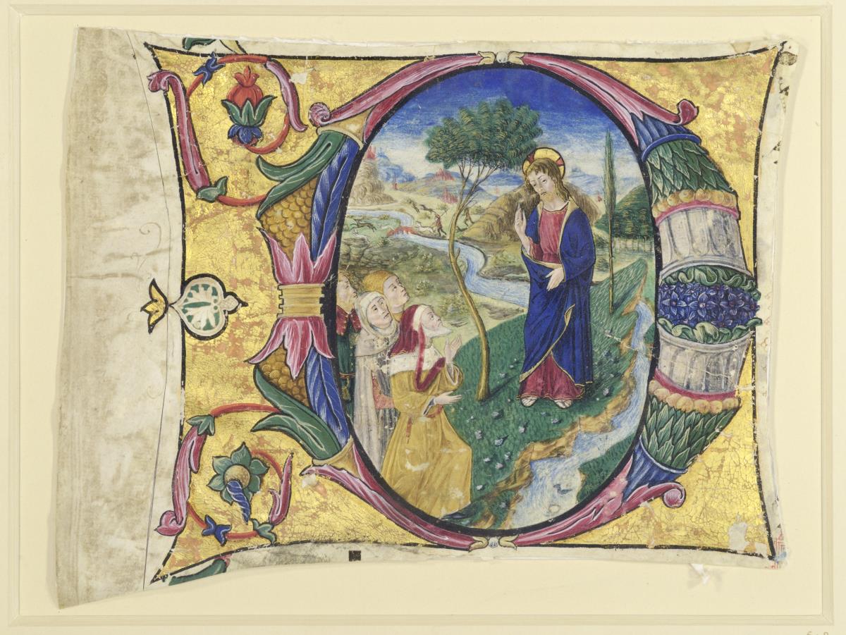 Initiale D mit Christus am Jordan