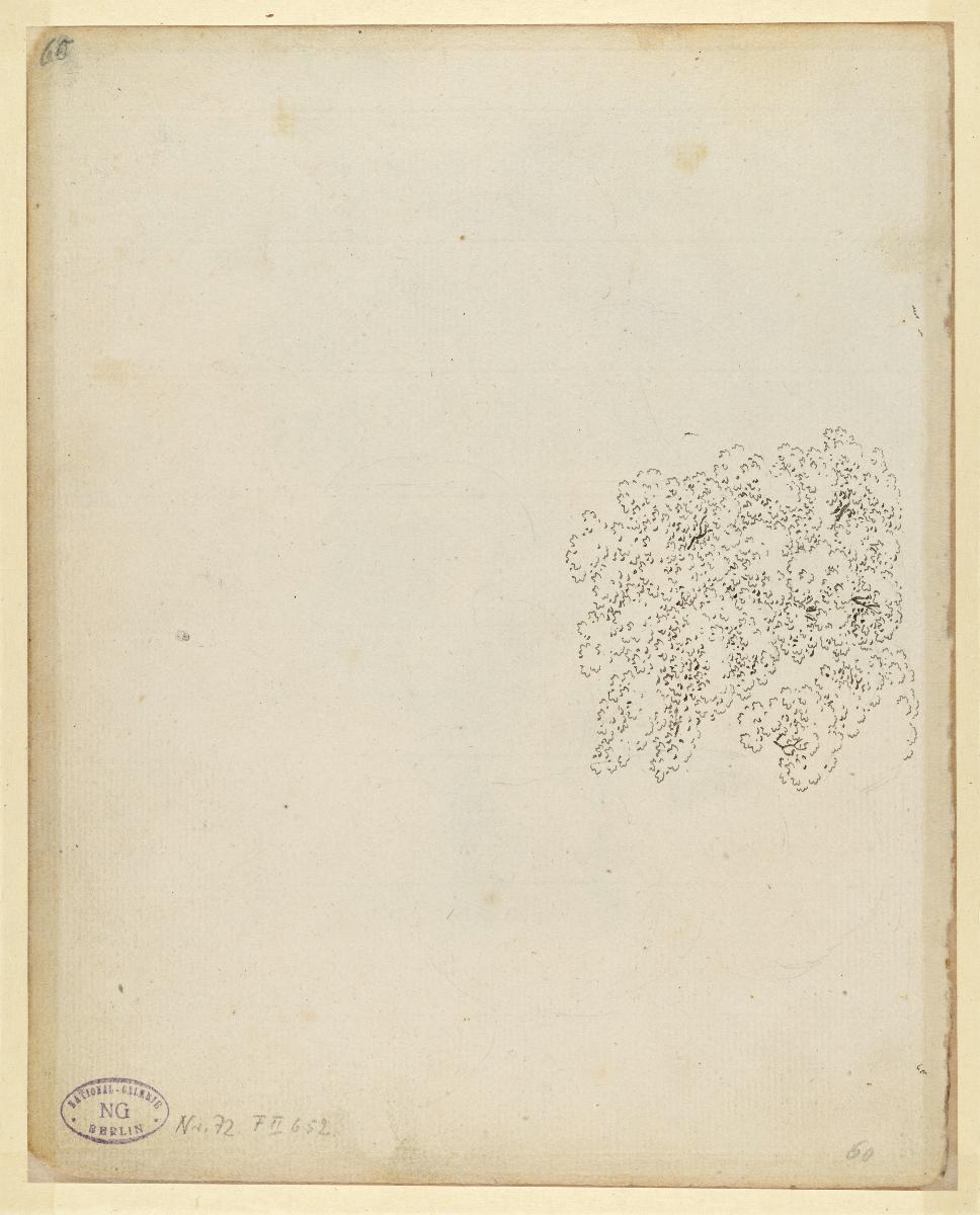 Baumstudie