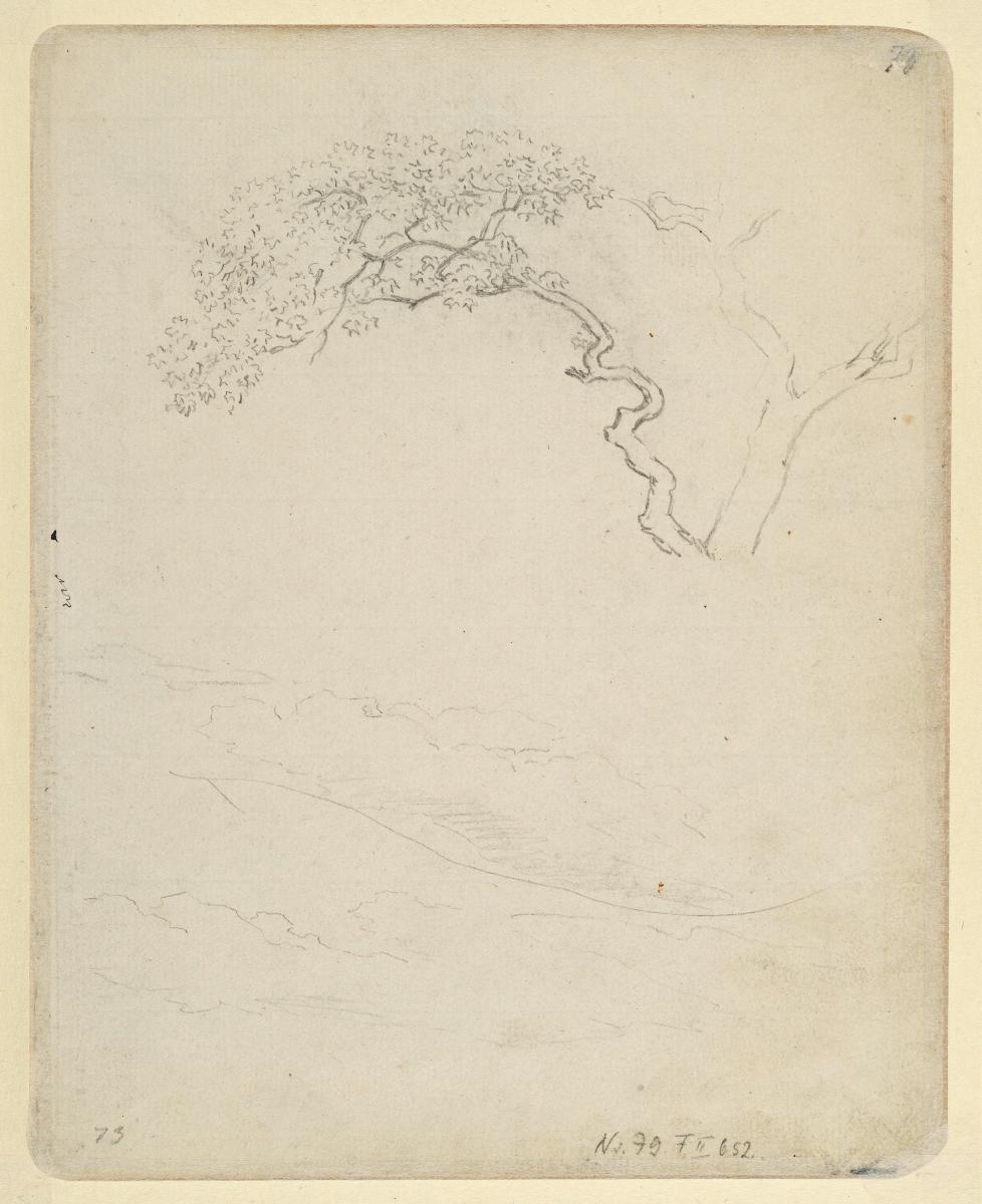 Baumstudie, darunter Wolkenstudie