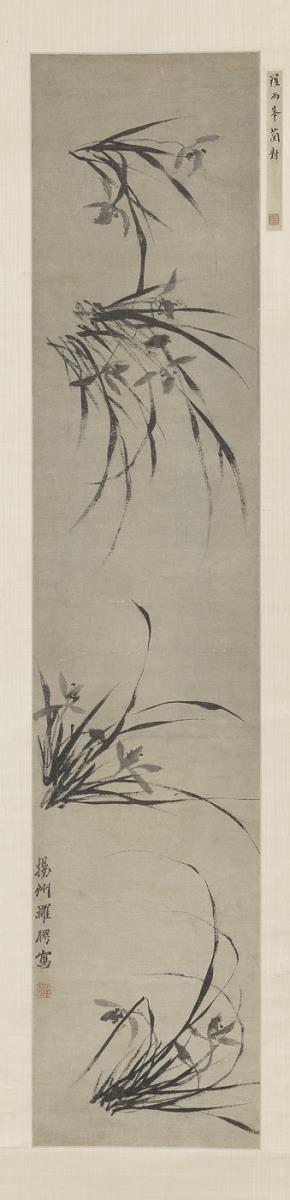 Orchideenbüschel