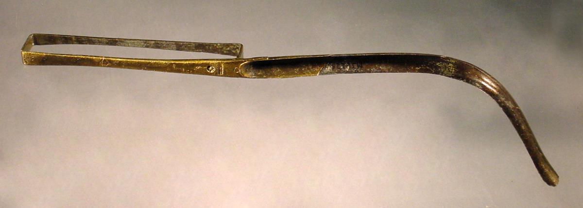 Strigilis