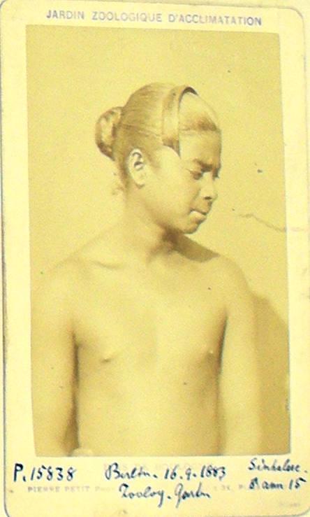 Singhalese