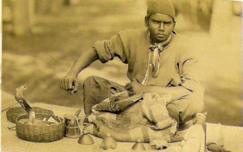 Singhalen