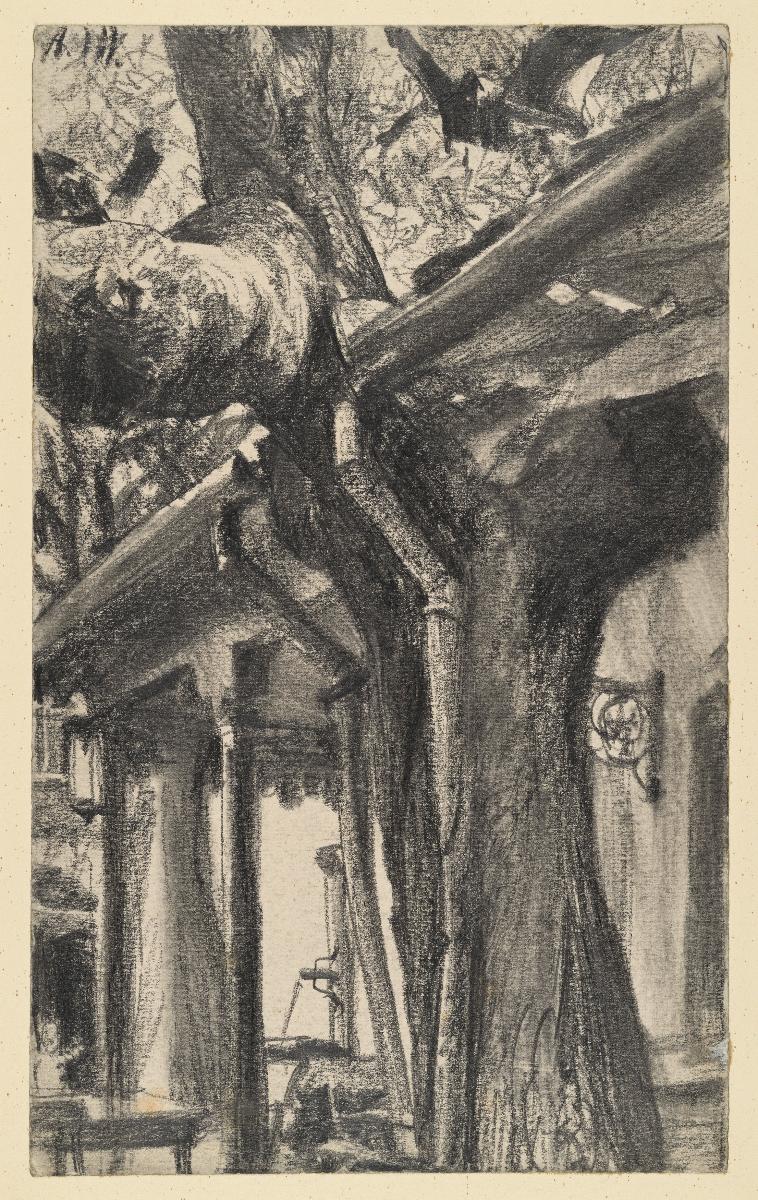Überdachte Hausveranda mit durchgewachsenem Baum