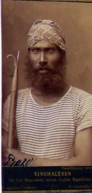 Singhalesen der Carl Hagenbeck'schen Ceylon Expedition