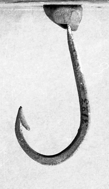 Angelhaken