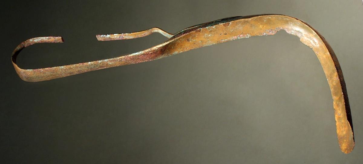 Strigilis