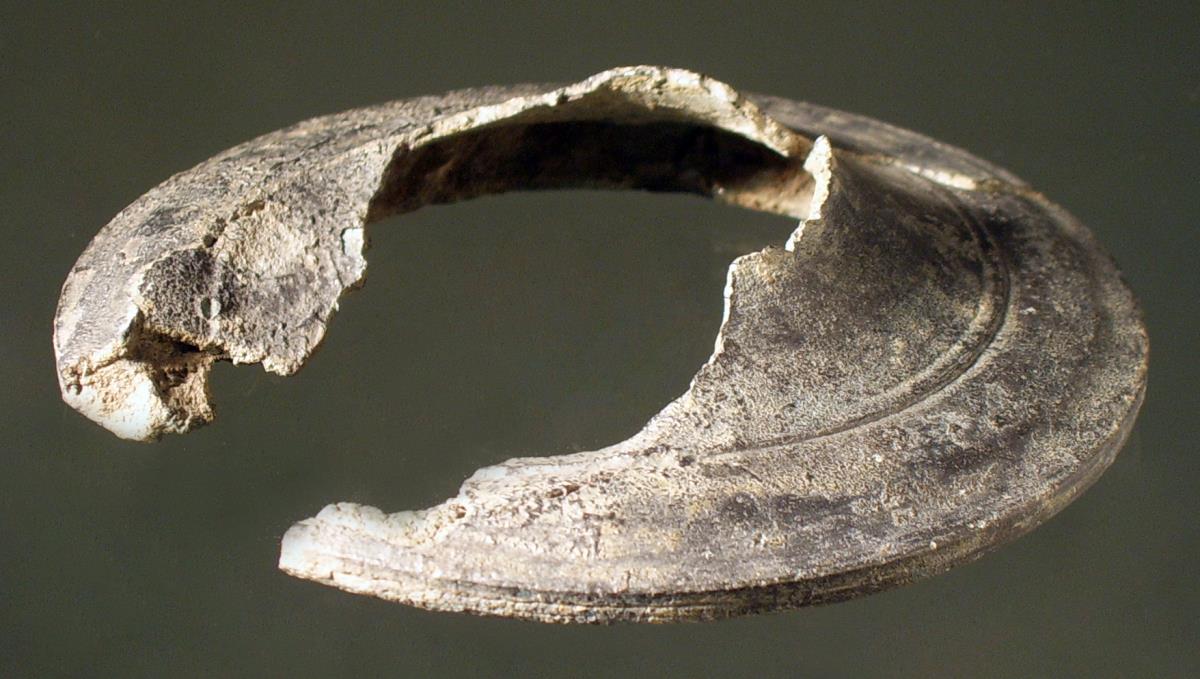 Größeres Stück von dem ausladenden Wulst einer Mittelstütze, den Stücken von 10054 sehr ähnlich, aber nicht zugehörig (Klinenteil)