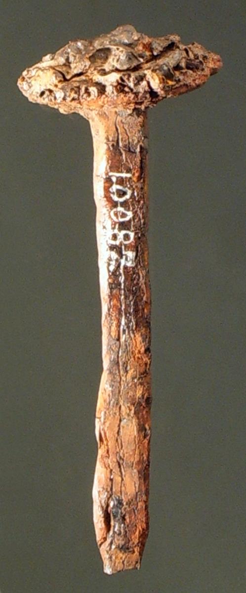 Eisennagel; wohl von einem Holzsarg aus dem römischen Ehrengrab