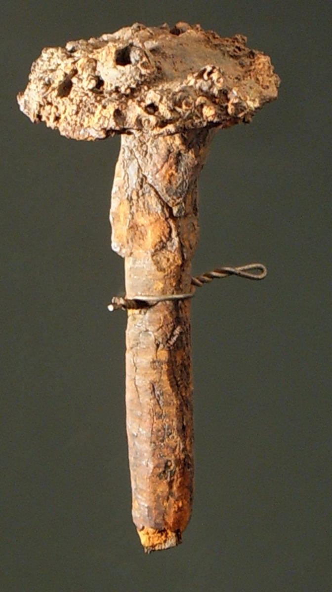 Eisennagel; wohl von einem Holzsarg aus dem römischen Ehrengrab
