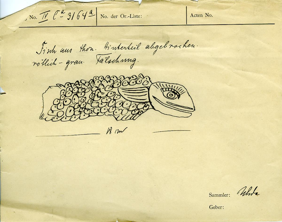 Fisch