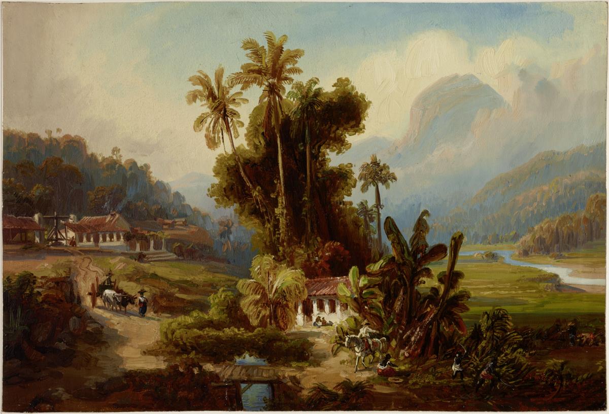 Zuckerrohrplantage von San Esteban bei Puerto Cabello