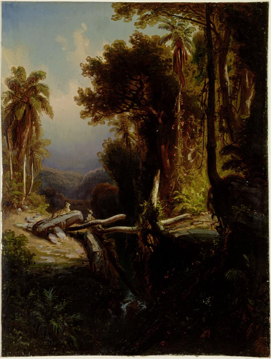 Tropenlandschaft. Quebrada del Tigre bei La Vittoria