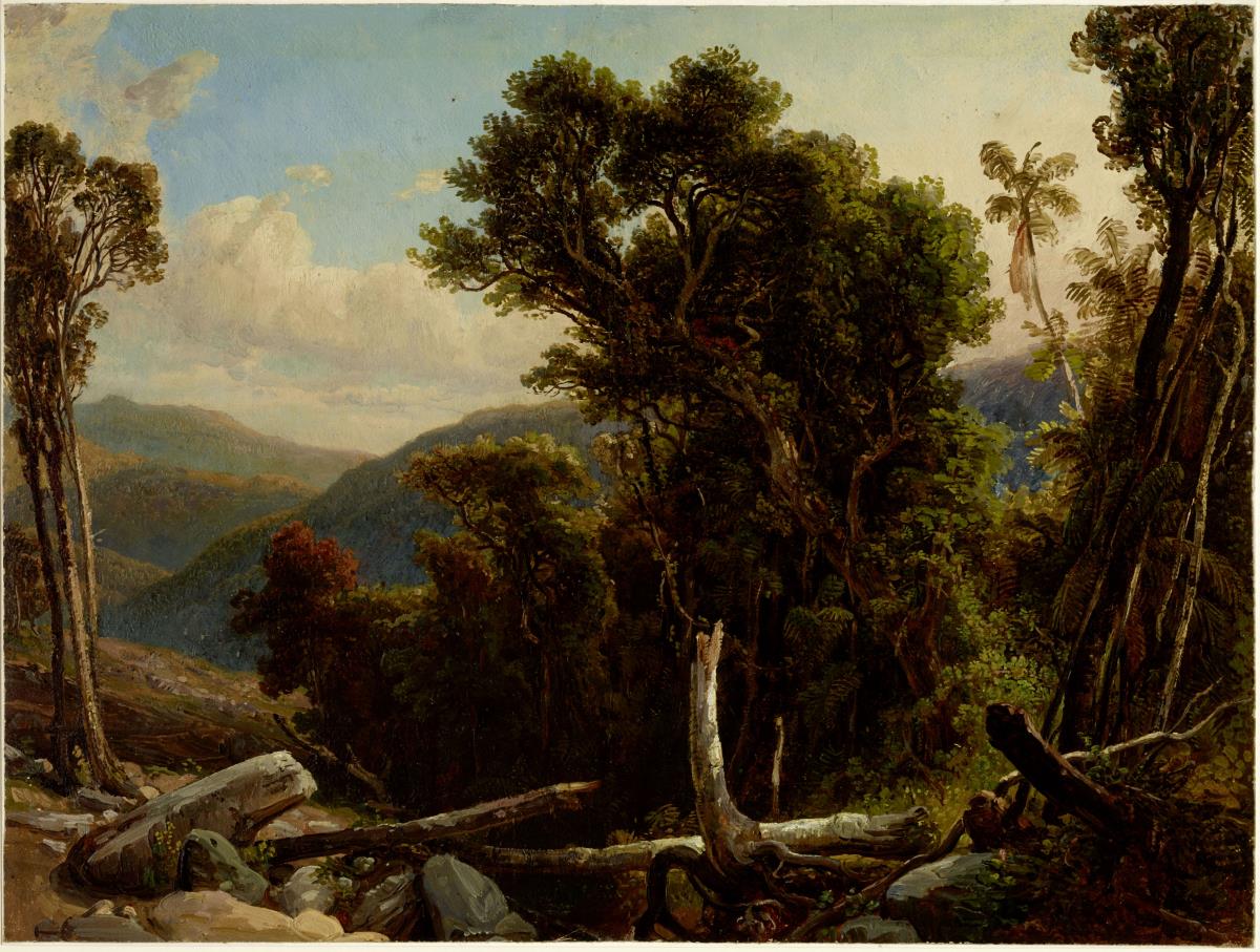 Waldlandschaft. Quebrada del Tigre bei La Vittoria
