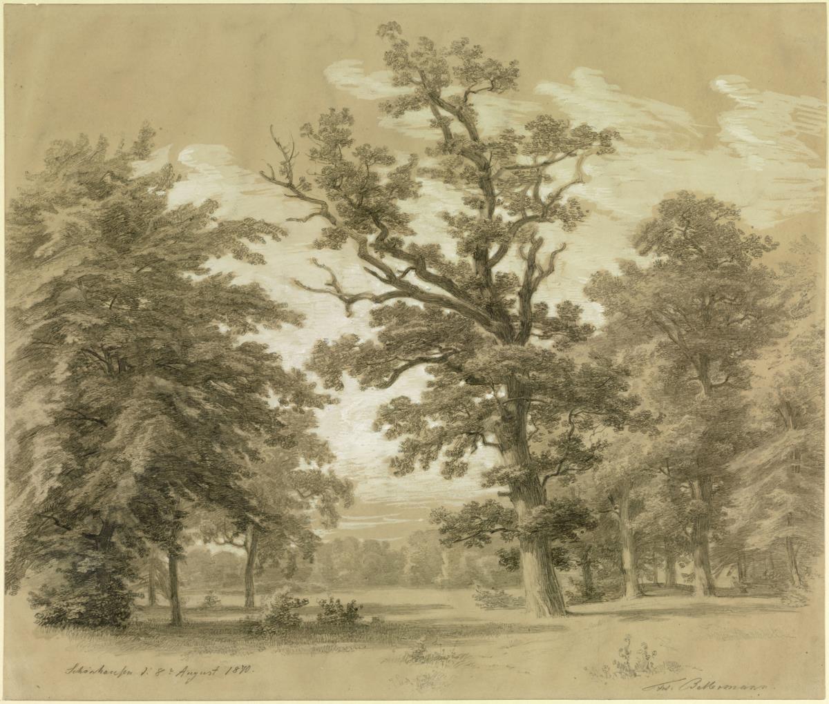 Parkstudie aus Schönhausen
