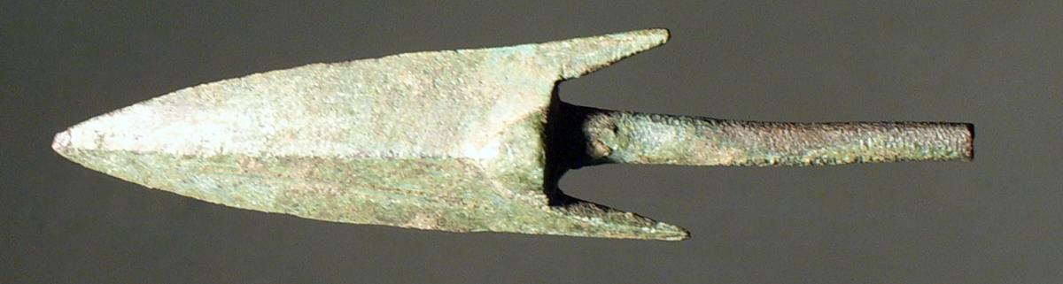 Zweiflügelige Dornpfeilspitze mit Widerhaken