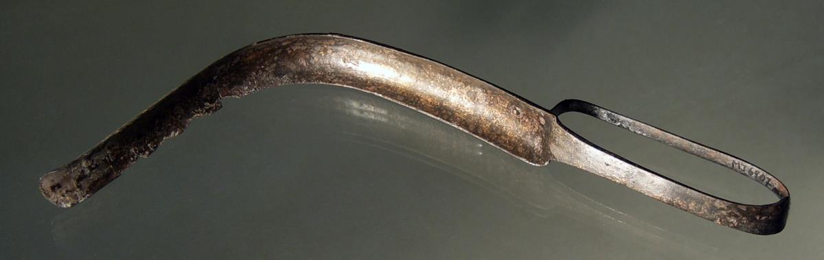 Strigilis