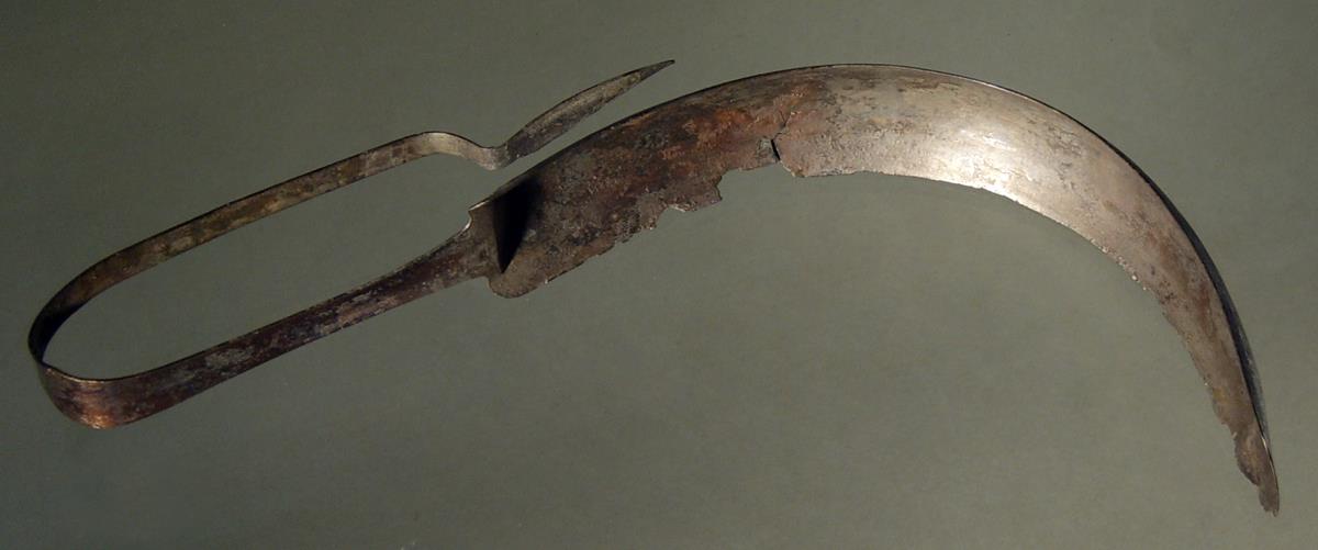 Strigilis