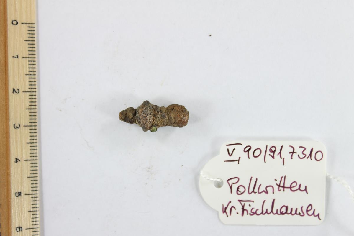 Fibelfragment
