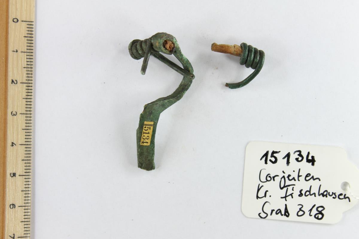 Armbrustfibel