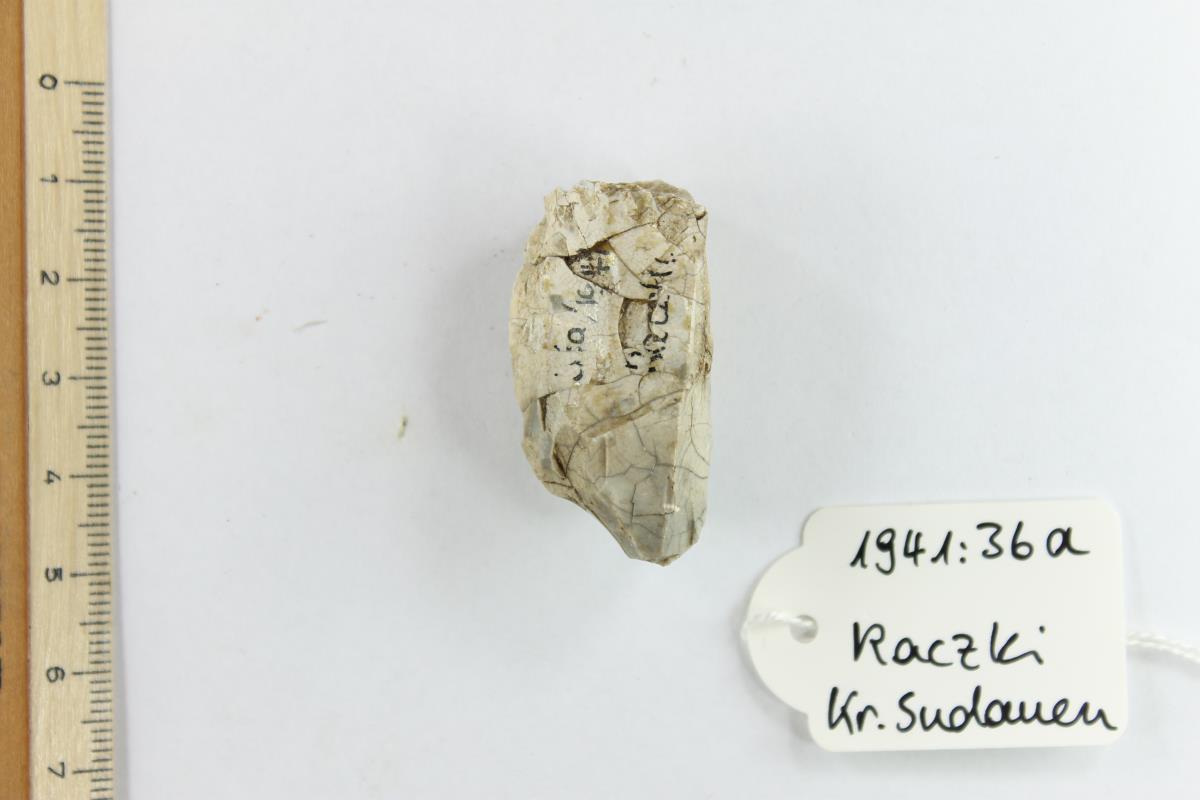 Silex