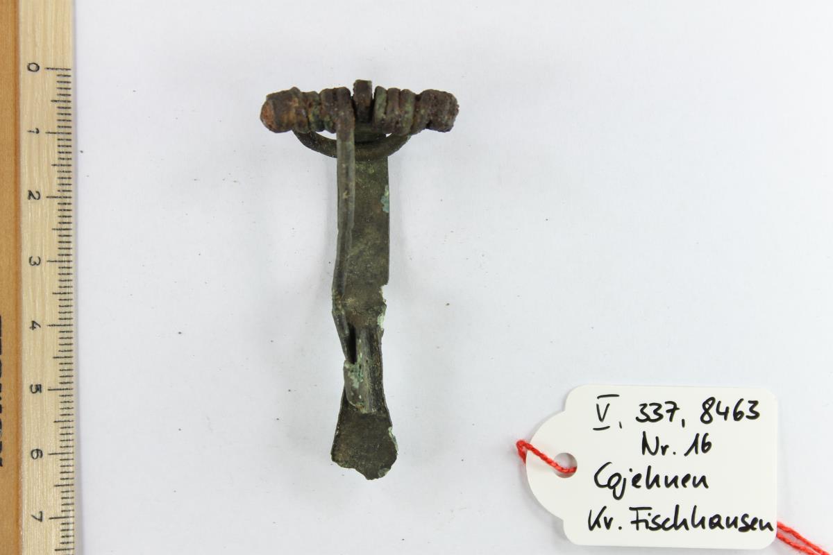 Armbrustfibel