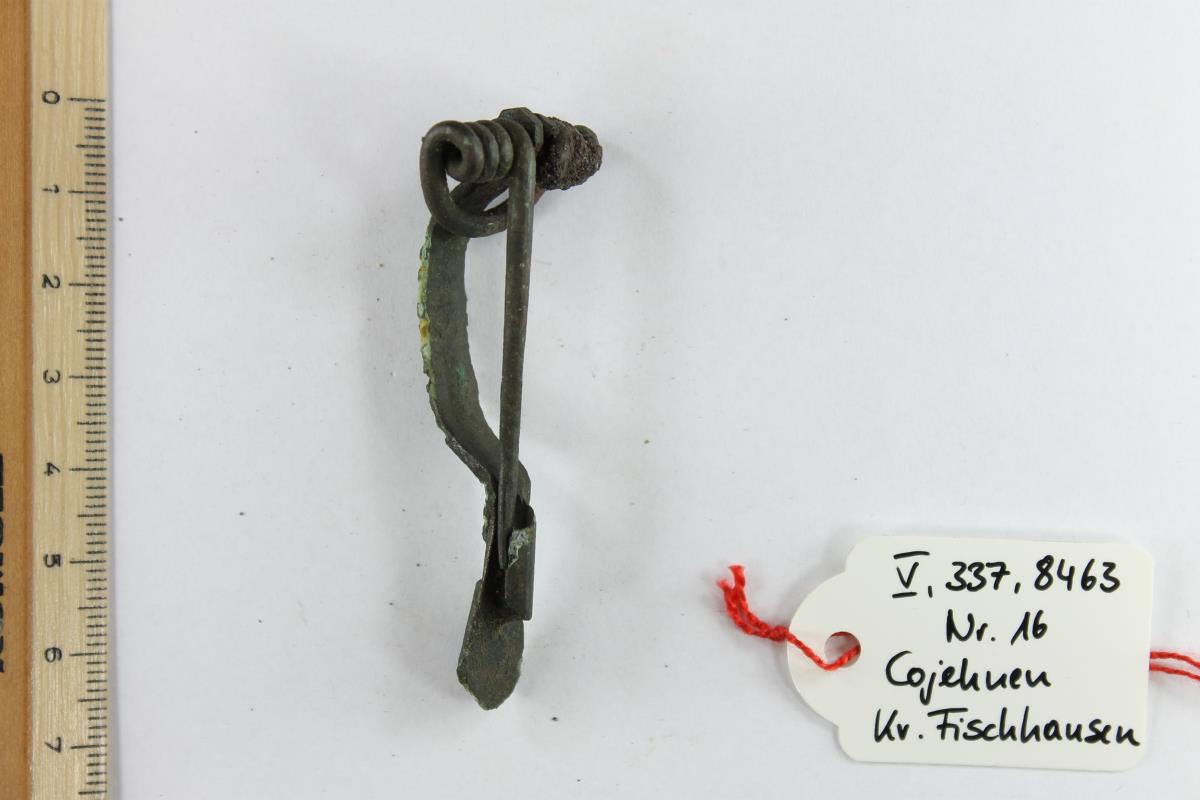 Armbrustfibel