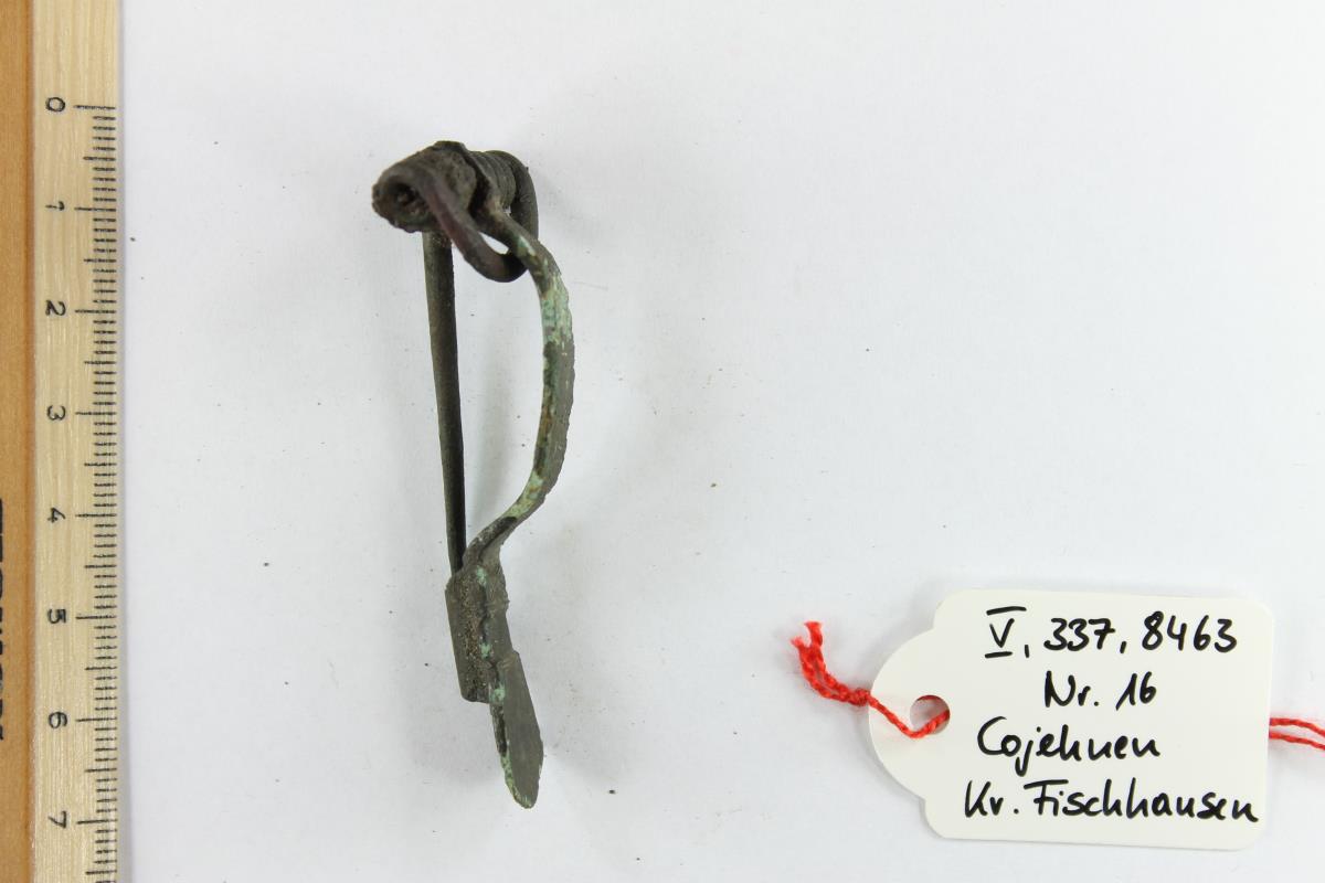 Armbrustfibel