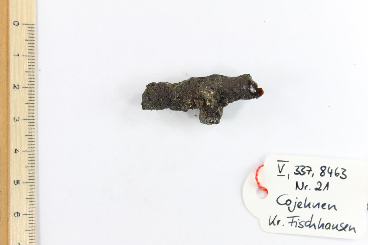 Fibelfragment