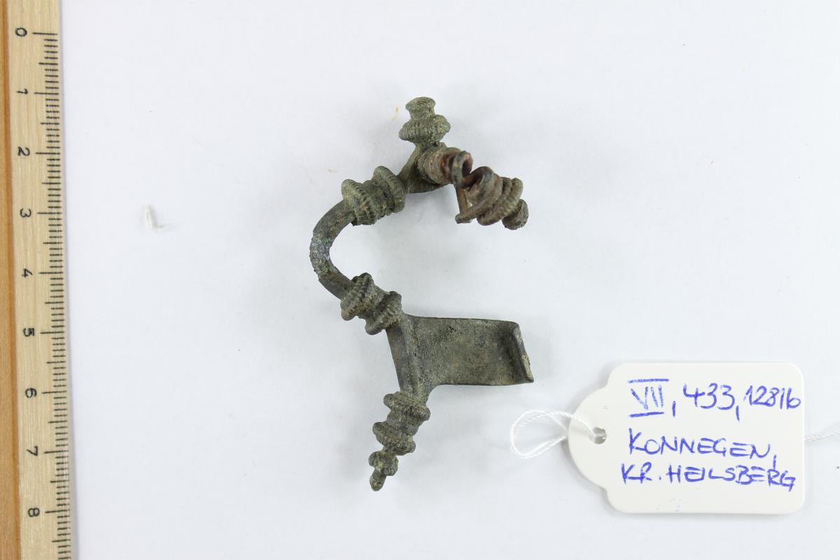 Armbrustfibel