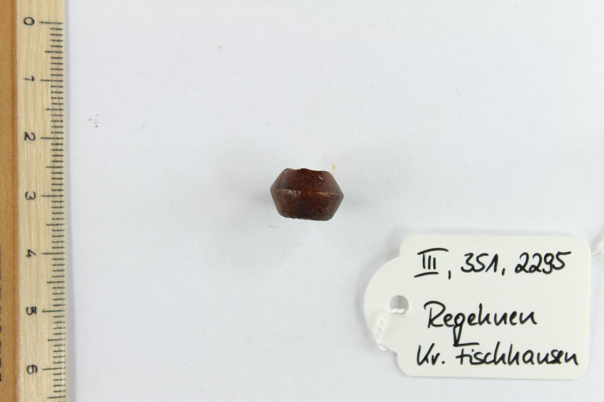 Bernsteinperle