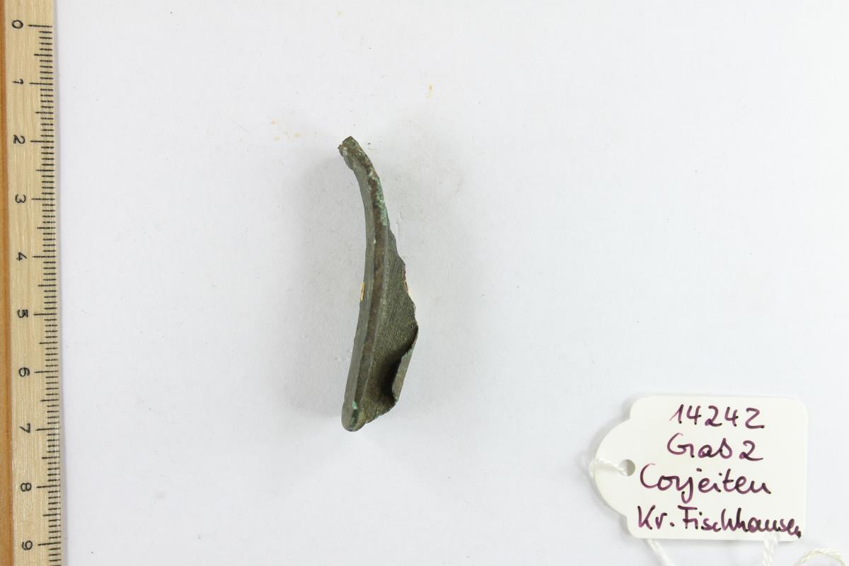 Fibelfragment