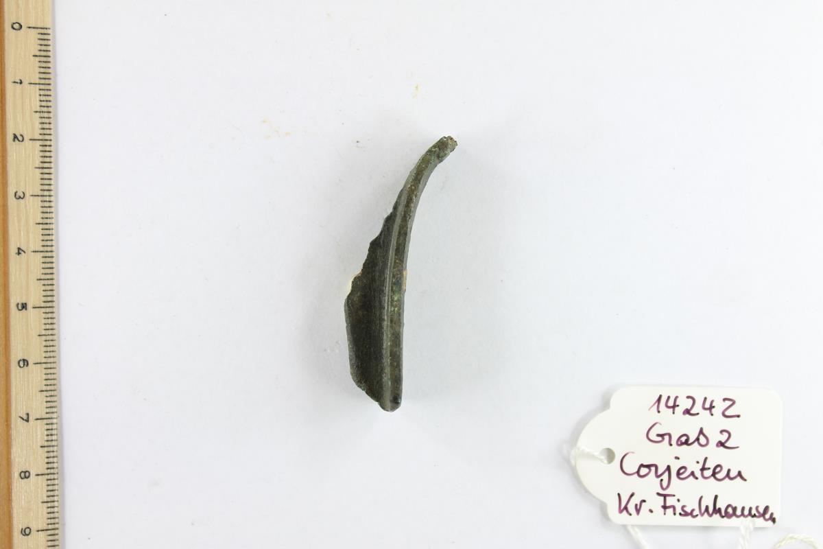 Fibelfragment