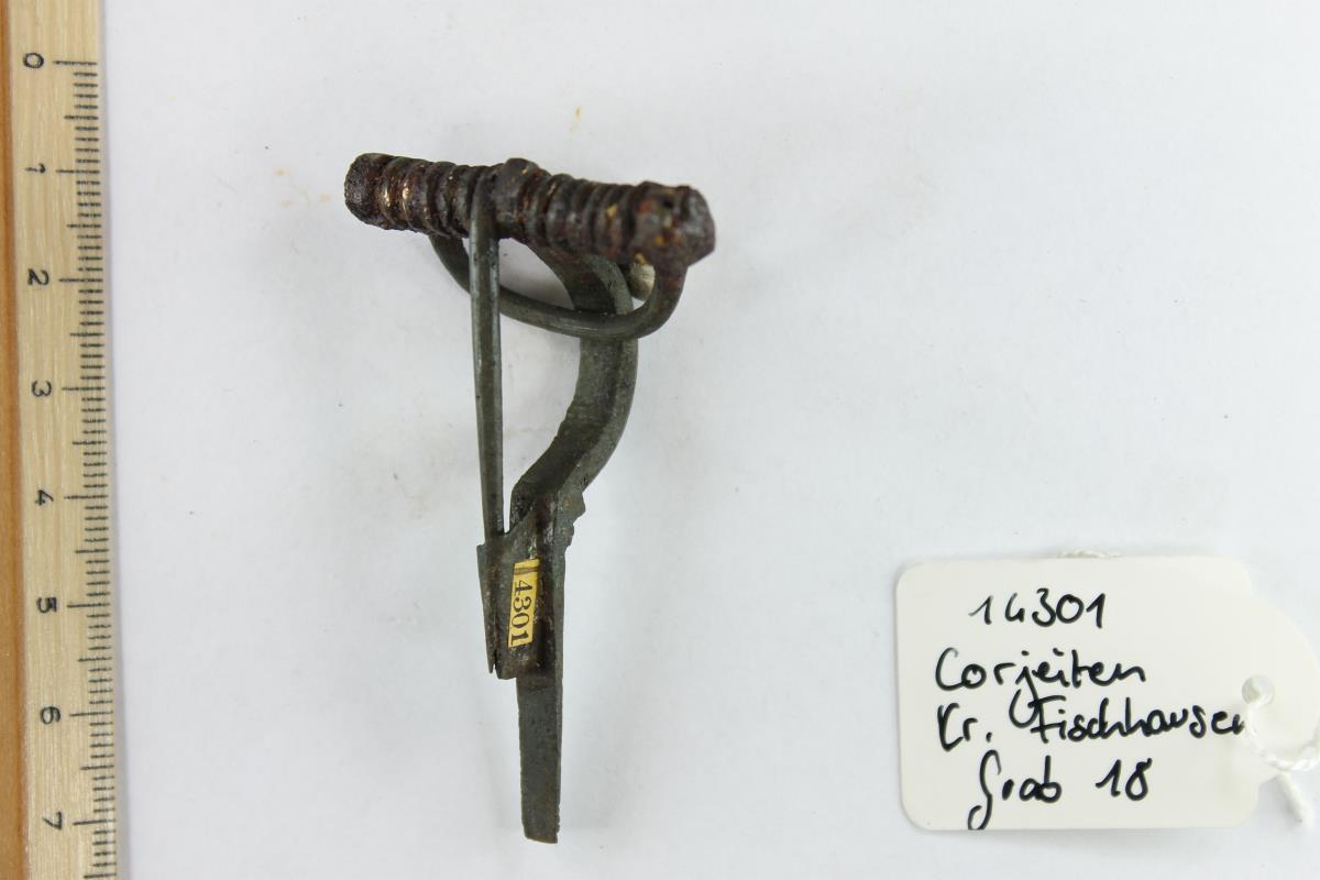 Armbrustfibel