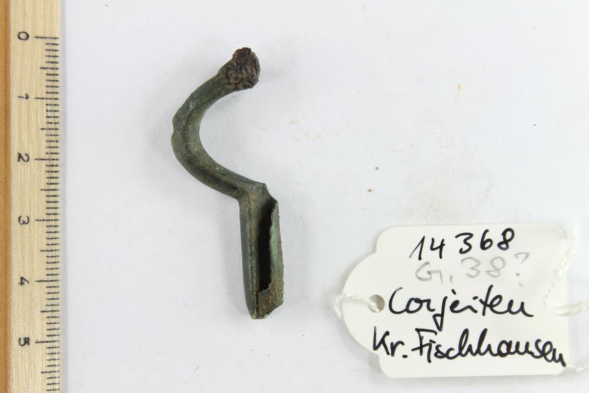 Armbrustfibel