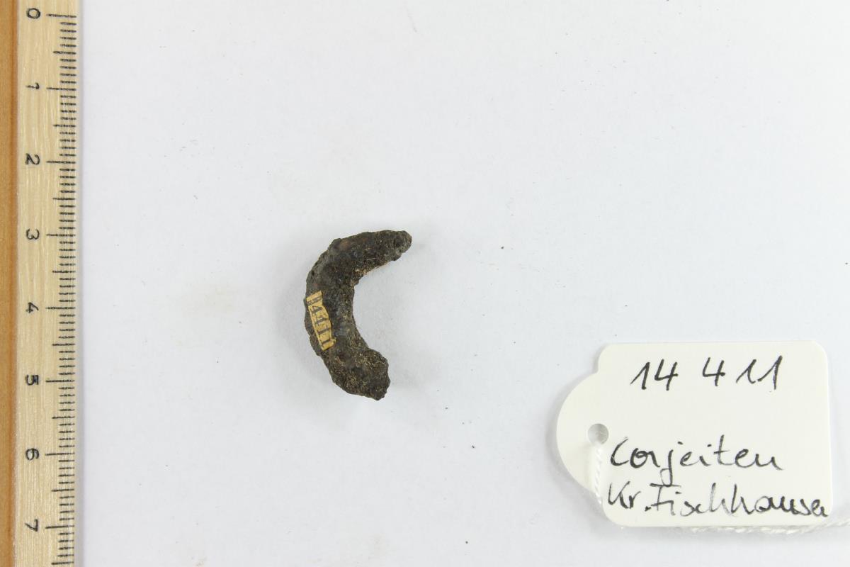 Gürtelschnallenfragment
