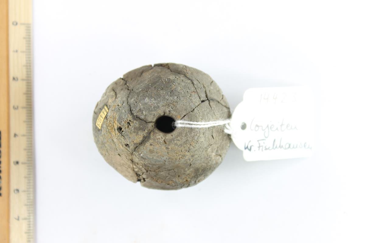 Spinnwirtel
