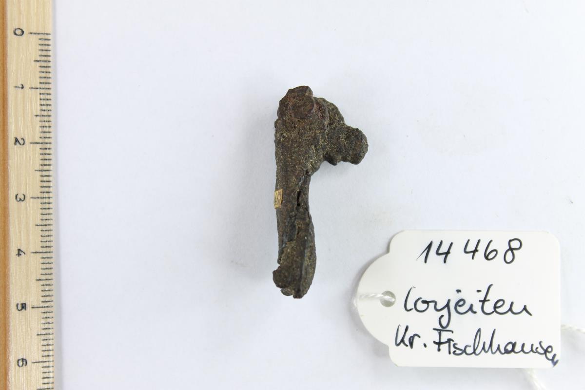 Fibelfragment